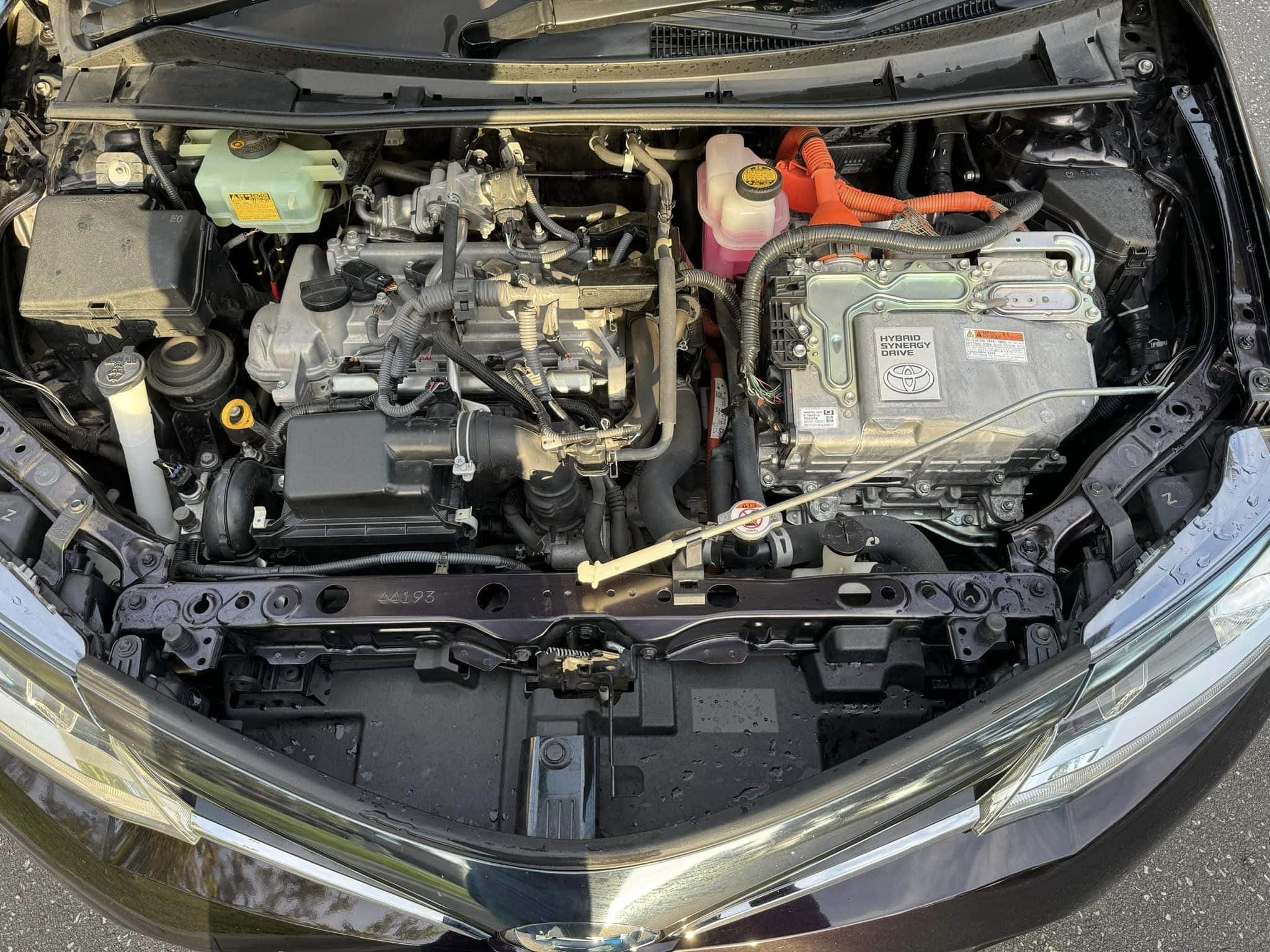 409459372_194859840360510_8198700250264203771_n