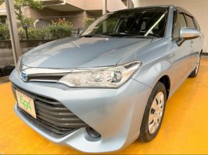 471624939_441166872396471_5620458830389622750_n